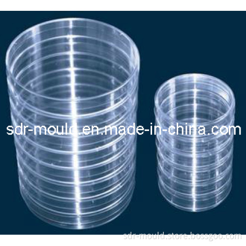 Plastic Injection Mould for The Disposable Plastic Petri Dish Mold